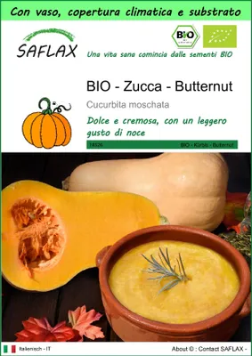 Immagine prodotto di SAFLAX Garden to go - BIO - Zucca - Butternut - 6 semi - Cucurbita