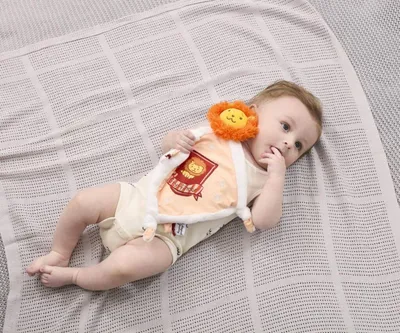 Zdjęcie produktu dla Tęczowy muchomor Harry Potter Gryffindor