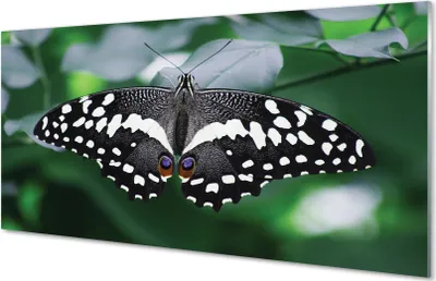 Produktbild von Glasbilder 140x70 Wandkunst Bunte Schmetterlinge Blätter
