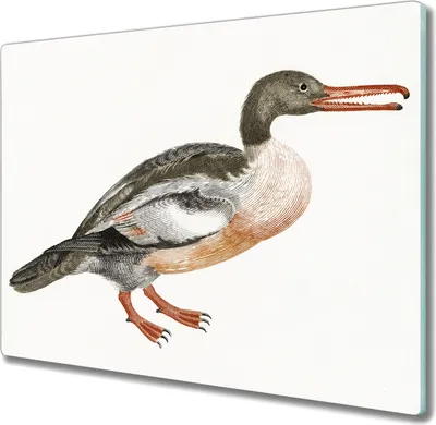 Produktbild von Coloray Hackbrett Küchenbrett Kochplattenabdeckung Schneidebrett Herdabdeckplatte 60x52 cm - Tier Vogel