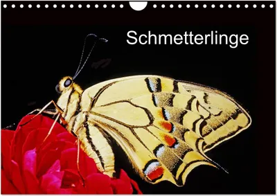 Produktbild von Schmetterlinge (Wandkalender 2025 DIN A4 quer), CALVENDO Monatskalender