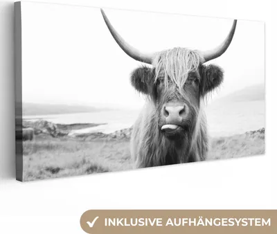 Produktbild von MuchoWow® - Leinwandbilder - Tiere - Schottischer Highlander - Kuh - Schwarz - Weiß, Wandbild, Wanddeko Bilder Wohnzimmer, 40x20cm