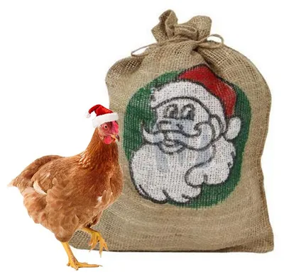 Productafbeelding van Kerstpakket voor kippen Het Kerstkado voor kippen