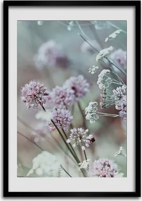 Produktbild von Bild - Bilderrahmen - 50 cm x 70 cm - MDF - Rahmen - Wandkunst Knoblauch Blumen