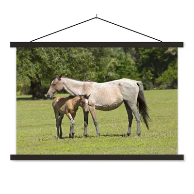 Produktbild von MuchoWow® Textilposter Pferde - Gras - Schatten 90x60 cm mit schwarzem Rahmen - Aufhängungssatz