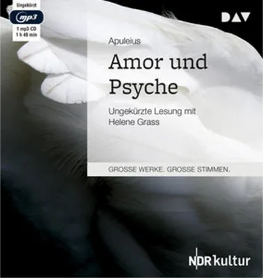 Obrázek produktu pro ISBN 9783742400154, Fikce, Německý