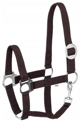 Produktbild von Start Economic Halfter Gurtband Schwarz Pony