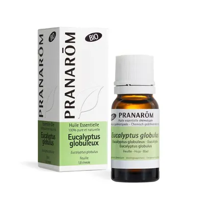 Produktbild von Pranarm Essential Oil Globular Eucalyptus 10ml