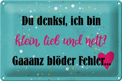 Produktbild von Blechschild Spruch 30x20cm du denkst ich bin klein lieb
