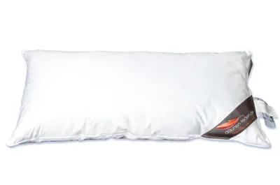 Produktbild von Daunenkissen 40x80 mit 100% Gänsedaunen gefüllt