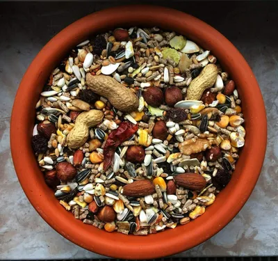 Productafbeelding van Eekhoornvoer 5 kg - Premium kwaliteit - Eekhoormengsel - Noten/fruit/zaden - Rijk aan vezels - Energieboost - Voer