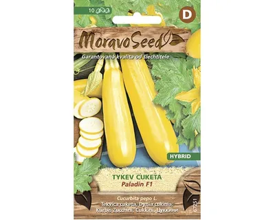 Produktbild von Zucchini Paladin F1 Samen MoravoSeed