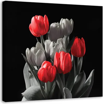 Produktbild von Leinwandbild roter tulpenstrauß 60x60 cm Feeby rot wandbild bereit zum aufhängen