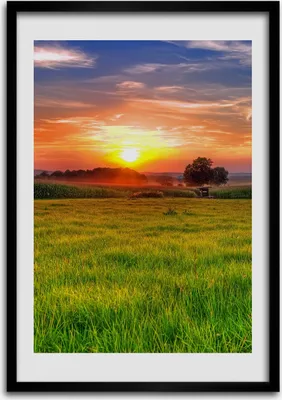 Produktbild von Bild - Bilderrahmen - 50 cm x 70 cm - MDF - Rahmen - Wandkunst Sonnenuntergang