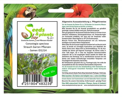 Produktbild von 10x Conostegia speciosa Strauch Garten Pflanzen - Samen ID1214