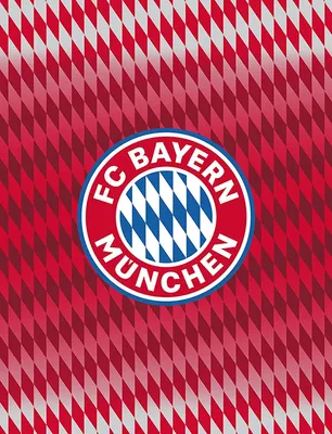 Produktbild von FC Bayern München Kuscheldecke 130x170cm