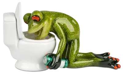 Immagine prodotto di Figurina decorativa rana davanti alla toilette H. 8cm pietra verde Formano Froschhausen