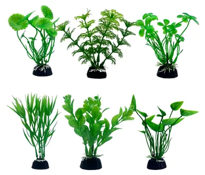 Produktbild von Künstliche Aquarium Pflanzen, Klein, 10 cm, Realistische Aquariumpflanzen, Dekoration, 6 Stück