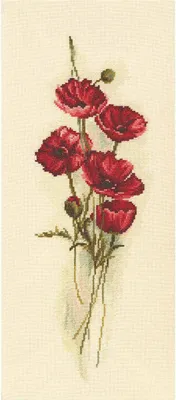 Immagine prodotto di Set per punto croce RTO "Papaveri orientali" M449, schema contato, 15x43 cm