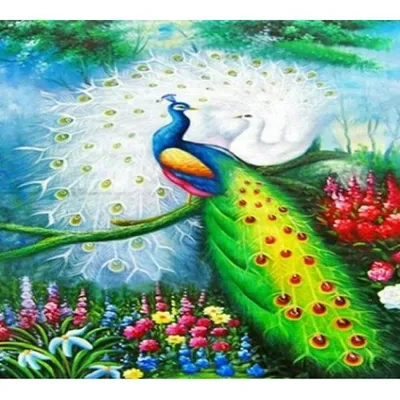 Produktbild von 40x30 Diamanten Malerei Zum Selbermachen DIY Diamond Painting Bunter Pfau