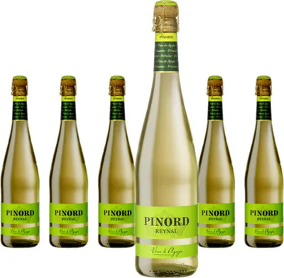Produktbild von 6 x Pinord Reynal Vinos De Aguja Blanco
