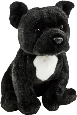 A plush toy dog sitting on a white background.