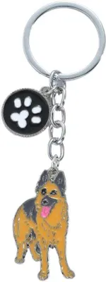 Immagine prodotto di Portachiavi in metallo con targhetta identificativa per cani