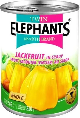 Produktbild von Twin Elephants & Earth Brand | Gelbe Jackfrucht In Süßem Sirup - 565g - Exotisches Obst - Tropische Früchte