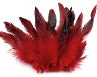 Produktbild von 20 Hühnerfedern 6-15cm Federn Bastelfedern Schmuckfedern Dekofedern Farbwahl, Farbe:dunkelrot