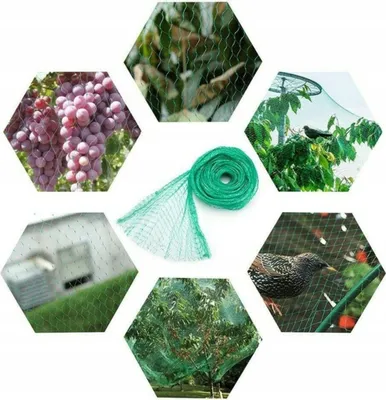 Zdjęcie produktu dla Siatka ochronna na ptaki Siatka ogrodowa Siatka ochronna na ptaki Siatka na drzewa owocowe 2 x 10 m