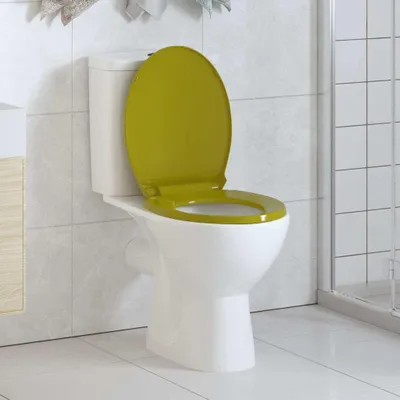 Obrázok produktu pre vidaXL Toaletné sedadlo s mäkkým zatváraním Zelený ovál