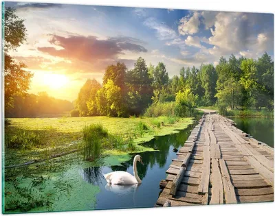 Produktbild von Bilder auf glas - Architektur Promenade Schwan Landschaft - 120x80cm - Glasbilder - Wandbilder - Kunstdruck - Wanddekoration aus Glas - Glas Bilder - Wandbild auf Glas - GAA120x80-3179