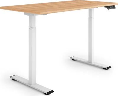 Produktbild von ESMART ERX-122WM 120x60cm Ahorn-Nachbildung Ergonomischer Steh-Sitz-Schreibtisch Stufenlos elektrisch höhenverstellbar 73,5-122,5 cm 3 x Memory Aktivitätserinnerung Schnelle Montage