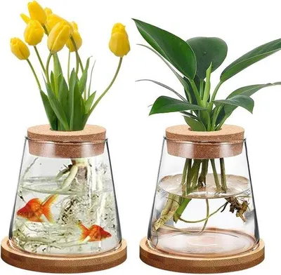 Produktbild von 2 Stück Hydroponische Pflanzgefäße, Glasvase mit Basis, transparente Tischvase, Pothos-Hydrokulturtöpfe für Hydroponik, für den Hausgebrauch