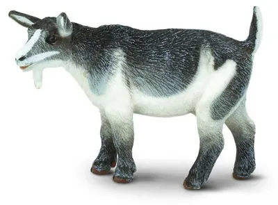 Produktbild von Safari Ltd Zwergziegenfigur Weiß,Grau From 3 Years Kinder Weiß,Grau From 3 Years