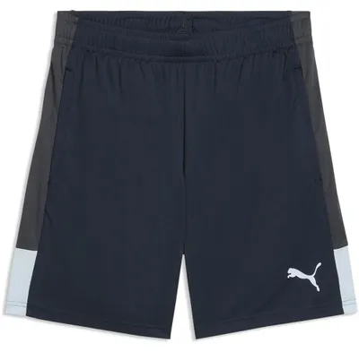 Produktbild von PUMA IndividualLIGA Trainingsshorts
