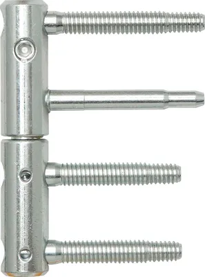Immagine prodotto di Cerniera per porta 3-DIM 2 pezzi, perno 65 o 55 mm, portata 120 kg, ø 20 mm, zincata argento