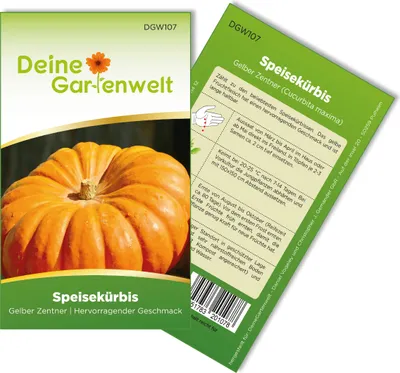 Produktbild von Kürbis Gelber Zentner Samen - Cucurbita maxima - Kürbissamen - Gemüsesamen - Saatgut für 8 Pflanzen