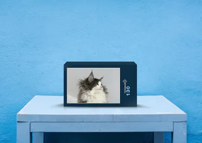 Produktbild von hansepuzzle 73602 - Katze Puzzle, 130 Teile, Tierwelt, 28,7 x 20,0cm mit hochwertiger Aufbewahrung, Kartonbox und wiederverschließbarem Beutel