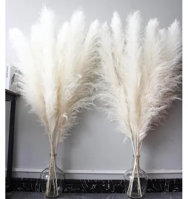 Productafbeelding van Pampasgras, wit, 115 cm, 10 stuks, bohemien decoratie, woonkamer, 120 cm, 10 stuks