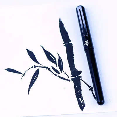 Produktbild von Pentel XGFKP/FP10 - Pocket Brush Blister-Pack Pinselstift mit 2 Patronen, schwarz