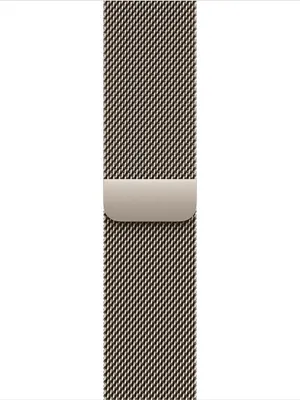 Image de Apple MAXK4ZM/A accessoire intelligent à porter sur soi Bande Titane Acier inoxydable