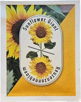 Image de Graines de tournesol Premium - | 090480