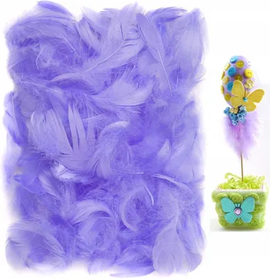 Image de Plumes décoratives violettes 10 g 5-12 cm Scrapbooking DpCraft
