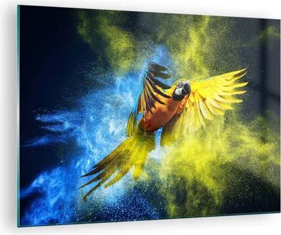 Produktbild von Bilder auf glas - Papagei Vogel Feder - 70x50cm - Glasbilder - Wandbilder - Kunstdruck - zum Aufhängen bereit - Wanddekoration aus Glas - Glas Bilder - Wandbild auf Glas - Einteilig - GAA70x50-3666
