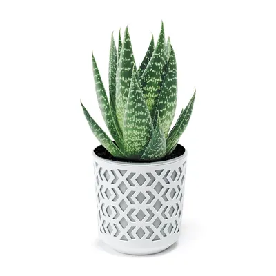 Obrázek produktu pro Květináč s vložkou 14 cm Dekorativní květináč, zahradní ažurový obal na květiny Deco pro pokojové rostliny Květináče bílé - šedé