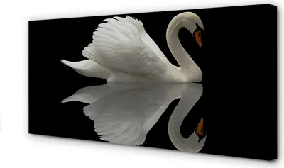 Imagen del producto de Cuadro decorativo para pared, 100x50 cm, diseño de un cisne en la noche