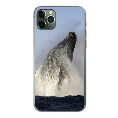 Produktbild von MuchoWow® Handyhülle Schutzhülle Hülle für iPhone 11 Pro Max Wal - Wasser - Südafrika Silikon Softcase Handy Hülle - Schutz
