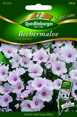 Produktbild von Bechermalven Pink Beauty | Malvensamen von Quedlinburger