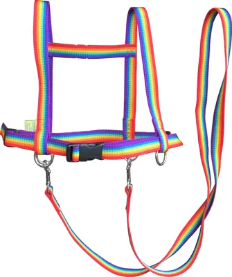 Produktbild von Dusyma Spielzeug Pferdespielleine Regenbogen - Rollenspiel Zubehör für Kinder
